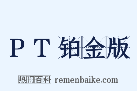 PT铂金版是什么意思的图片